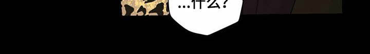 《香草搭档》第77章视频 第10页