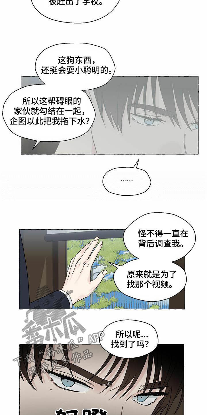 《香草搭档》第77章视频 第15页