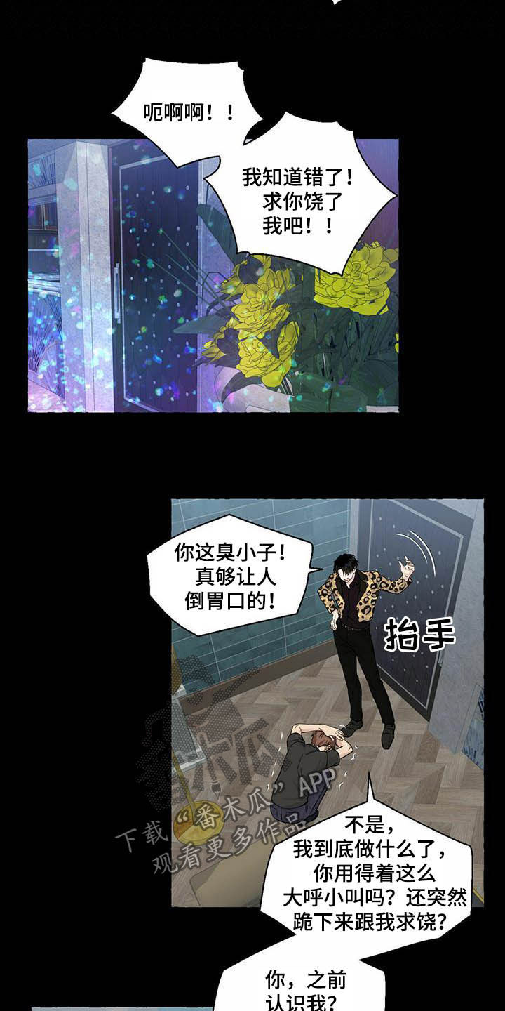 《香草搭档》第77章视频 第8页