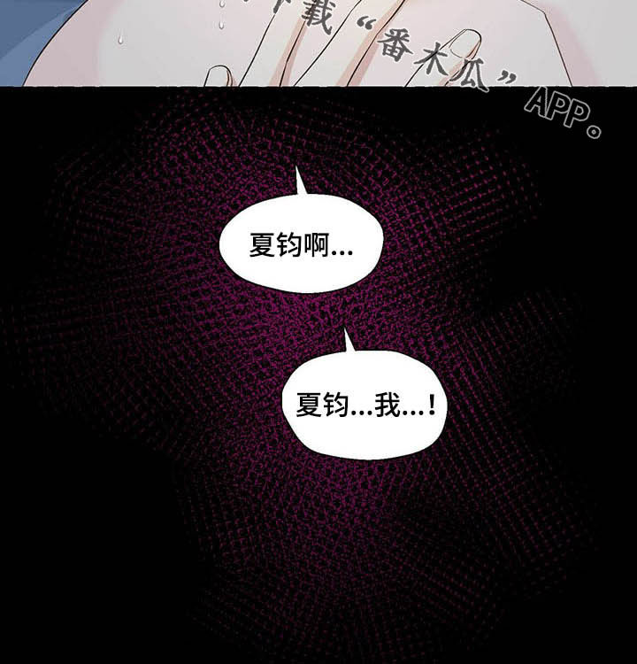 《香草搭档》第70章非你不可 第21页