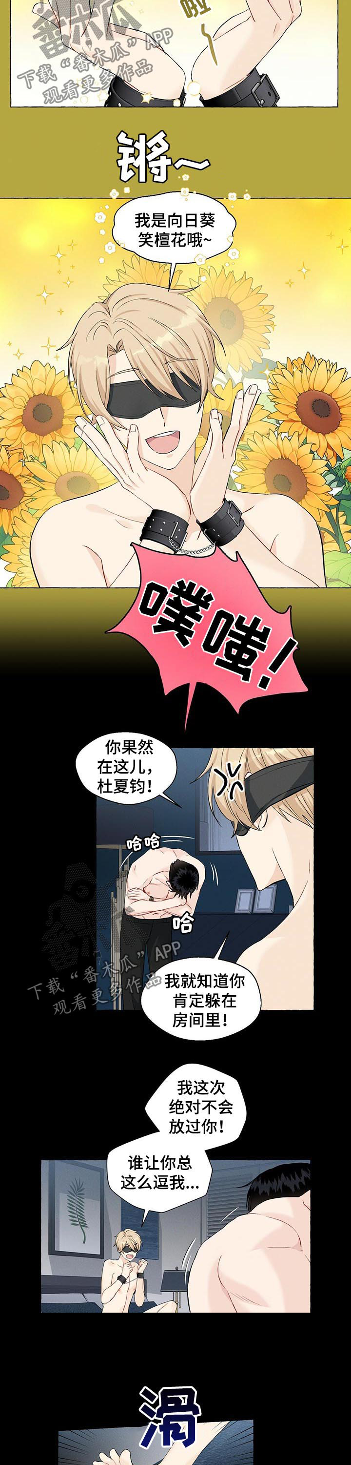 《香草搭档》第43章捉迷藏 第7页