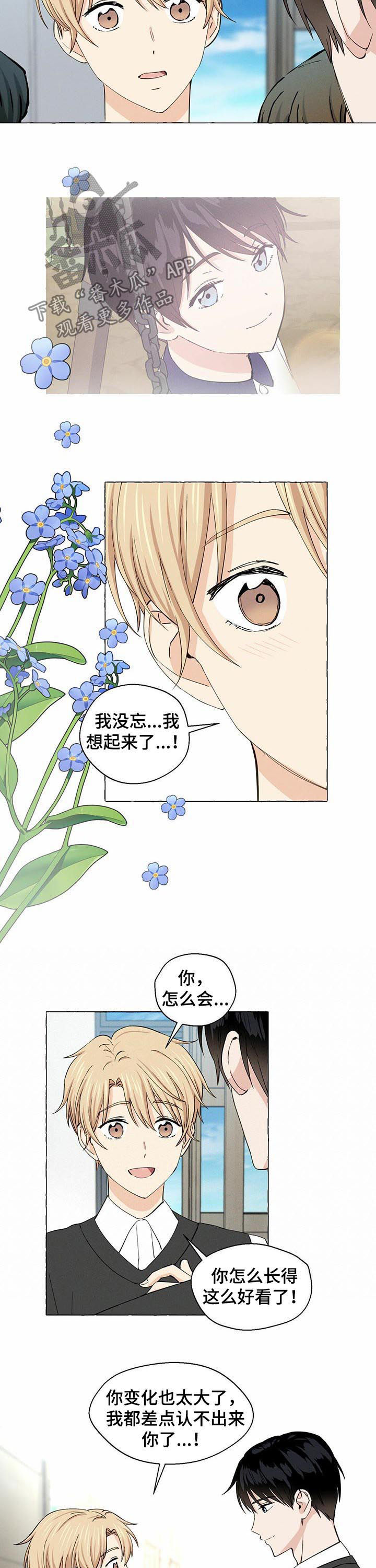《香草搭档》第28章重逢 第12页