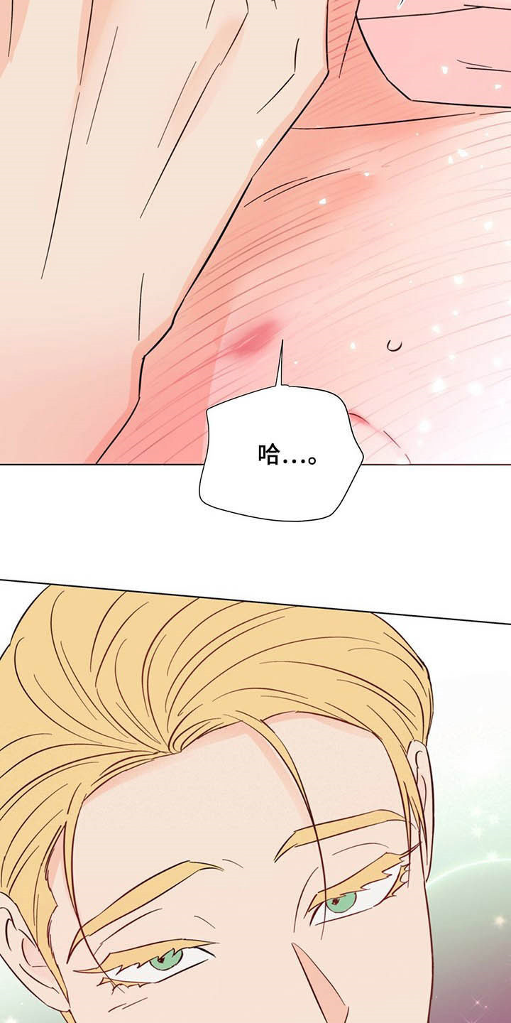《重塑人生》第63章不可能是现实 第15页
