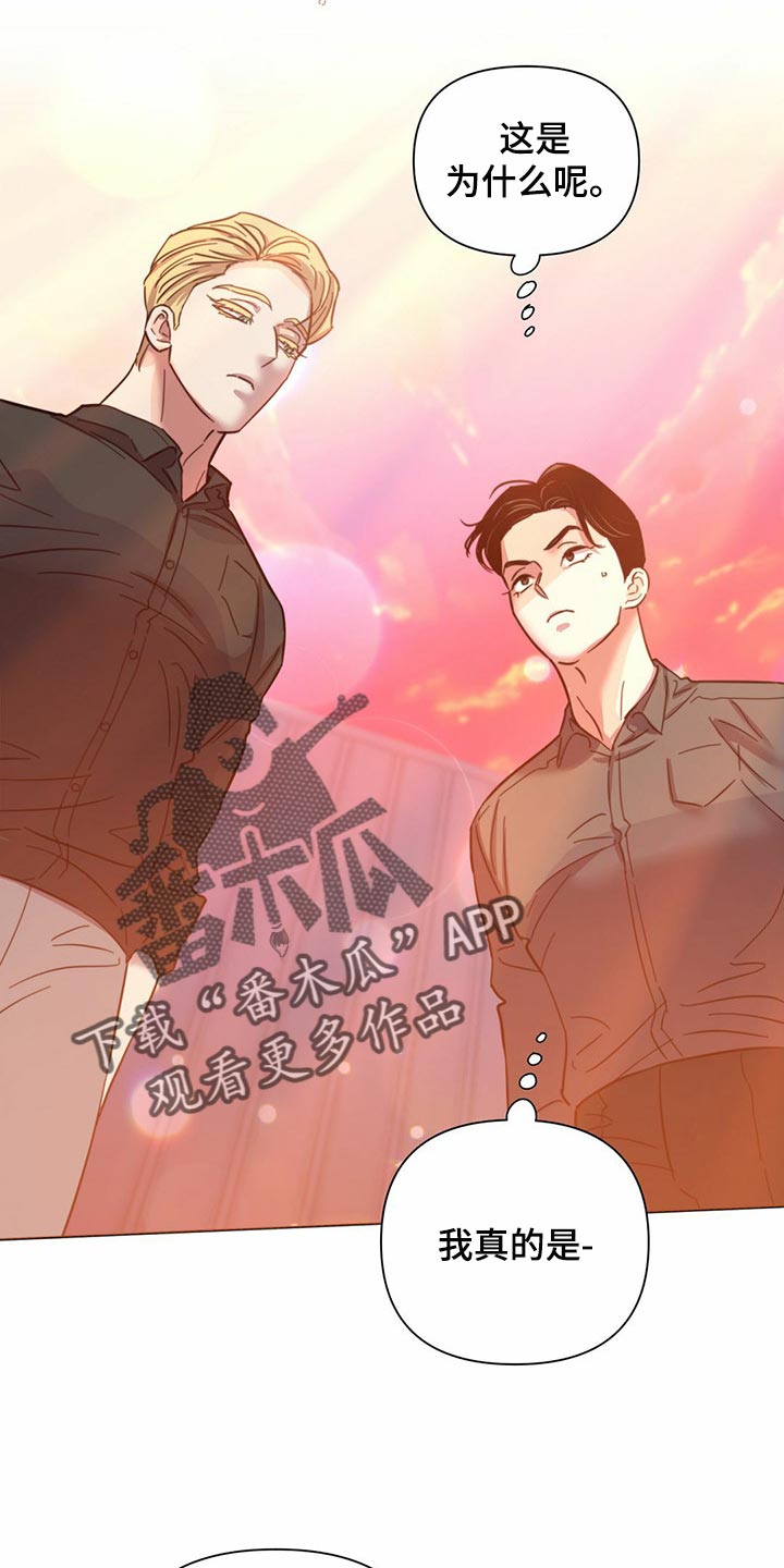 《重塑人生》第82章【第二季】报仇显得十分空洞 第19页