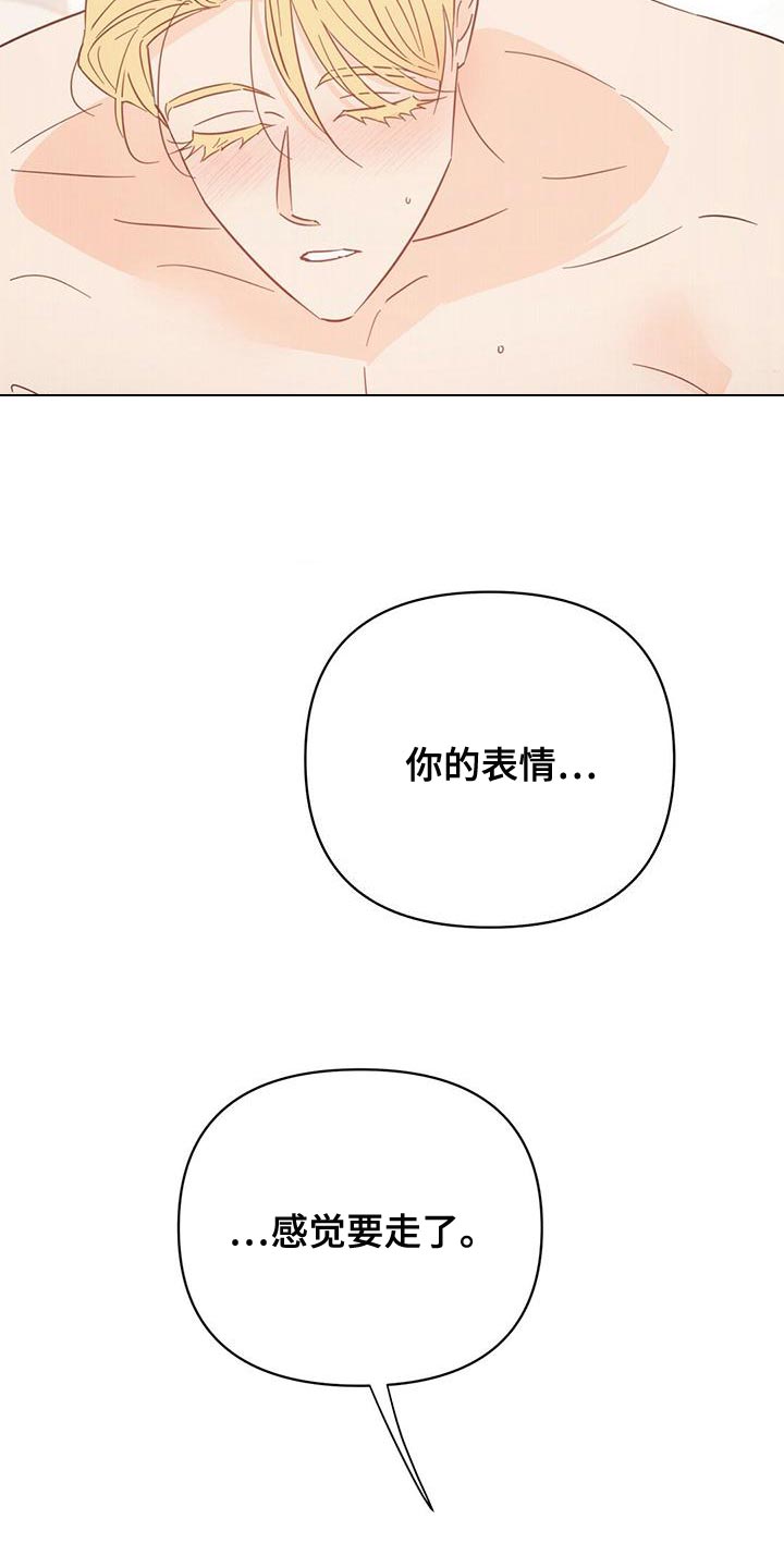 《重塑人生》第110章【第三季】美丽也有上限 第19页