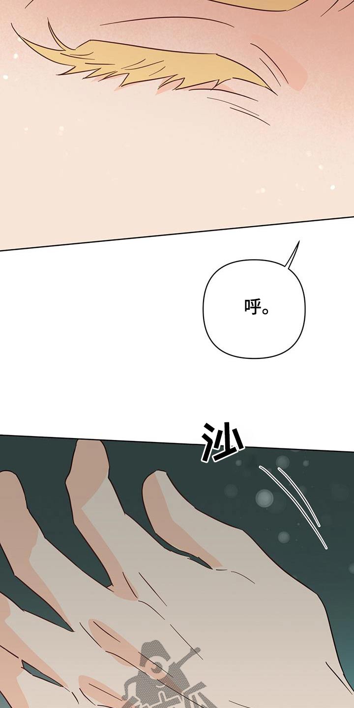 《重塑人生》第127章【第三季】准备回家 第19页