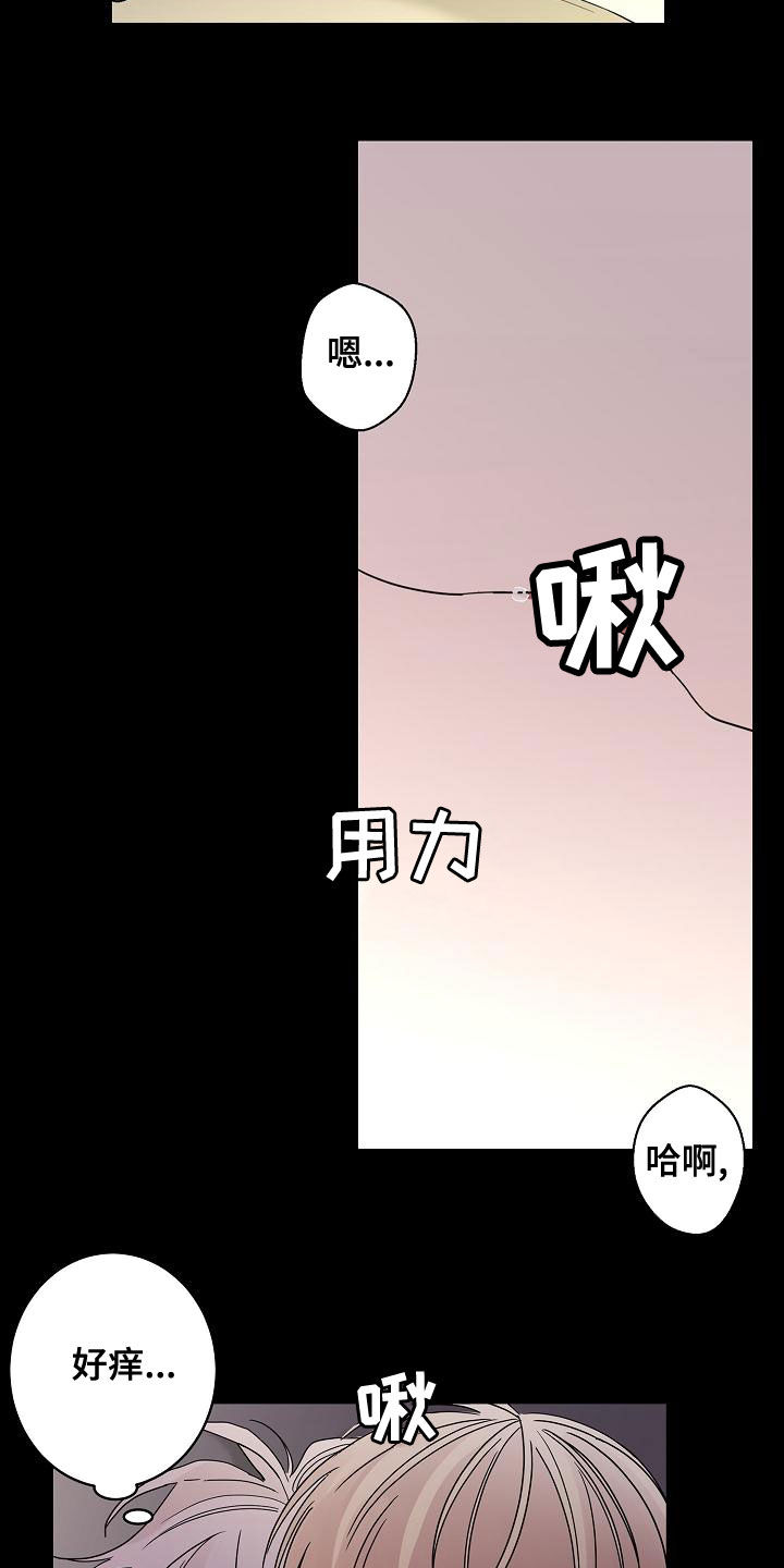 《贝塔的报恩》第32章美好的回忆 第17页