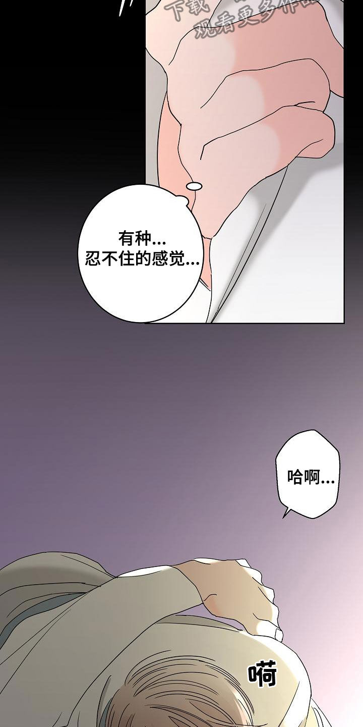 《贝塔的报恩》第32章美好的回忆 第19页