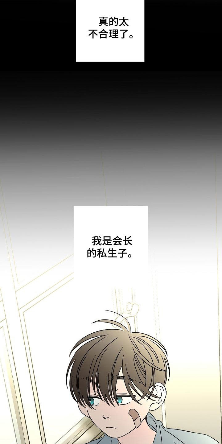《贝塔的报恩》第40章私生子 第17页