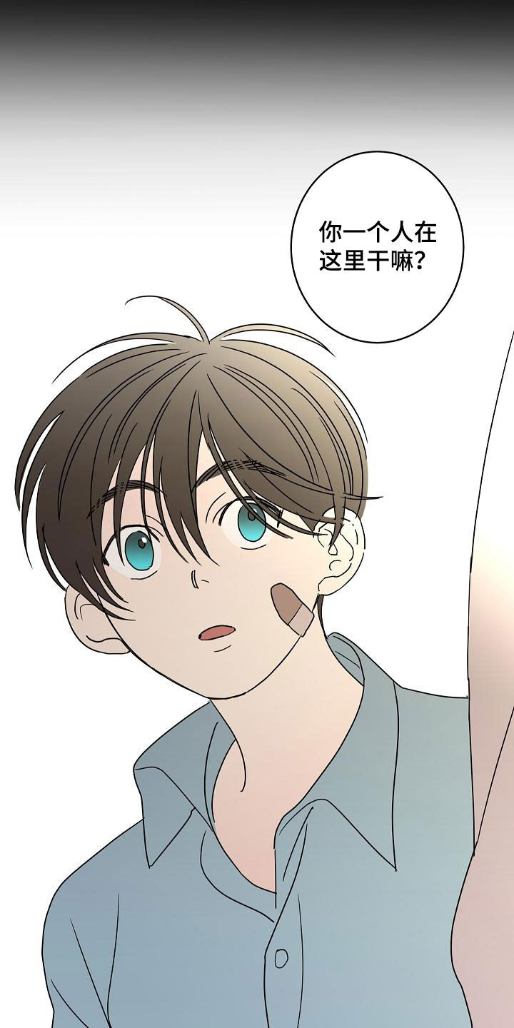 《贝塔的报恩》第40章私生子 第20页