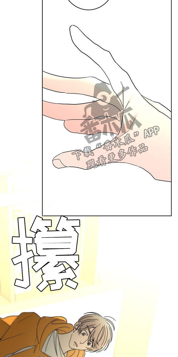 《贝塔的报恩》第40章私生子 第5页