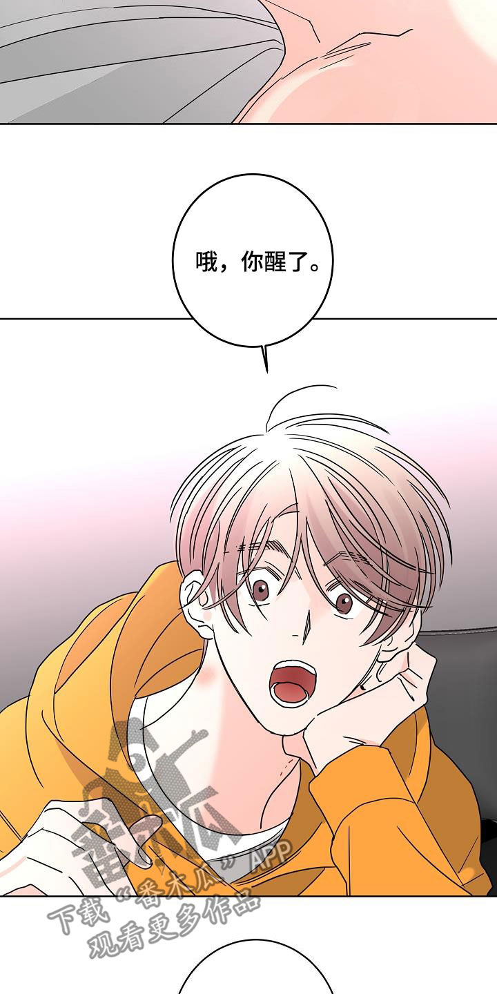 《贝塔的报恩》第44章会没事的 第17页