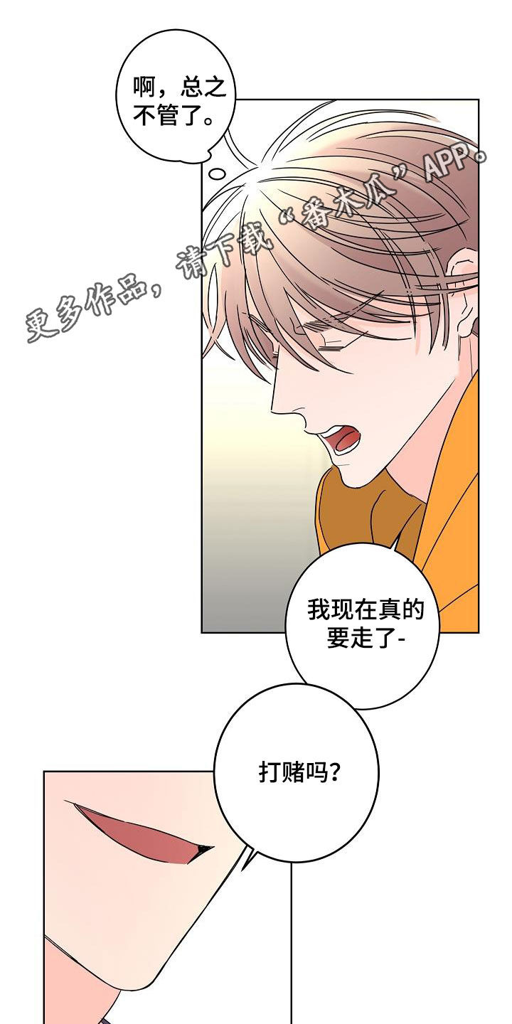 《贝塔的报恩》第43章打赌 第1页