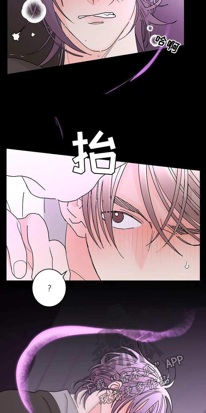 《贝塔的报恩》第48章春天来了 第23页
