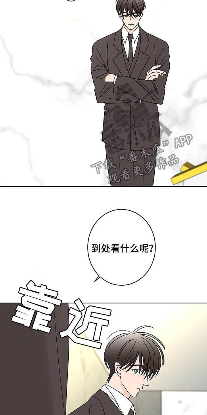 《贝塔的报恩》第54章办法 第17页