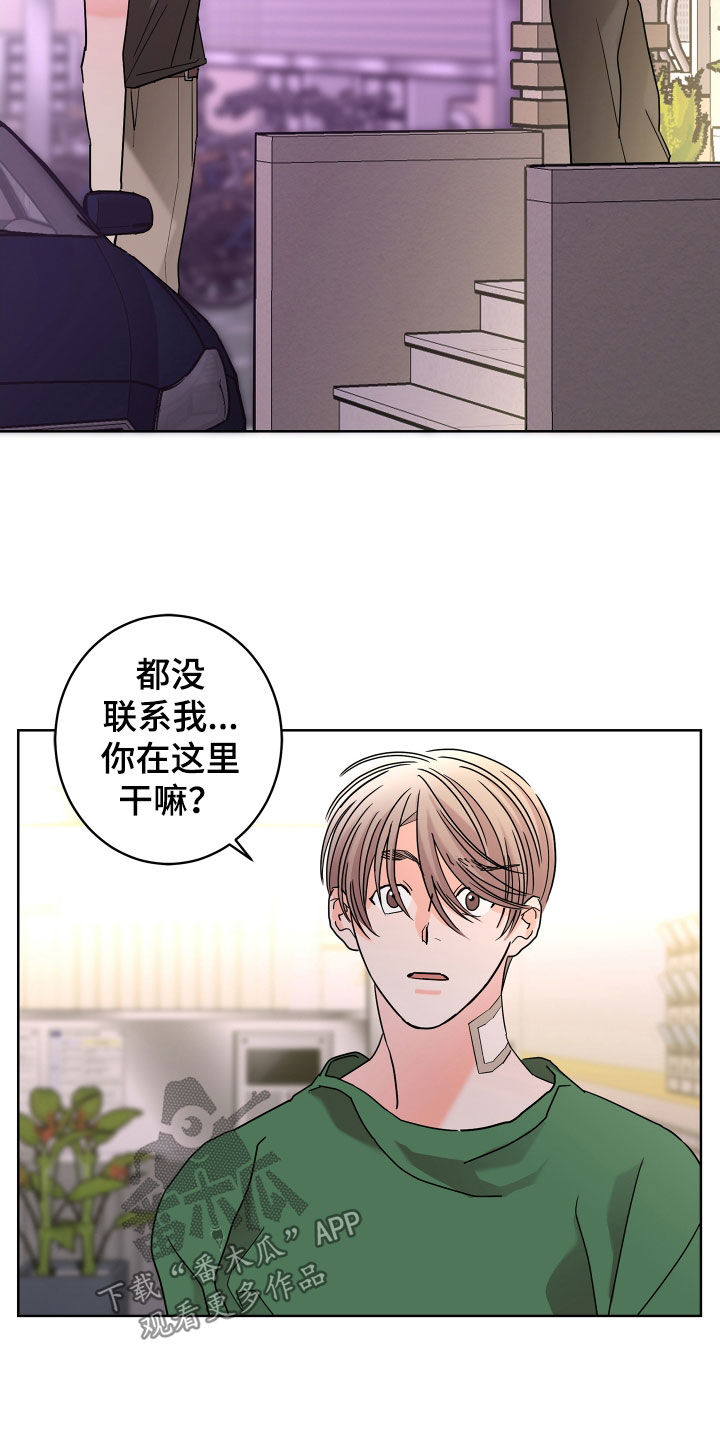 《贝塔的报恩》第68章【第二季】想报答你 第2页