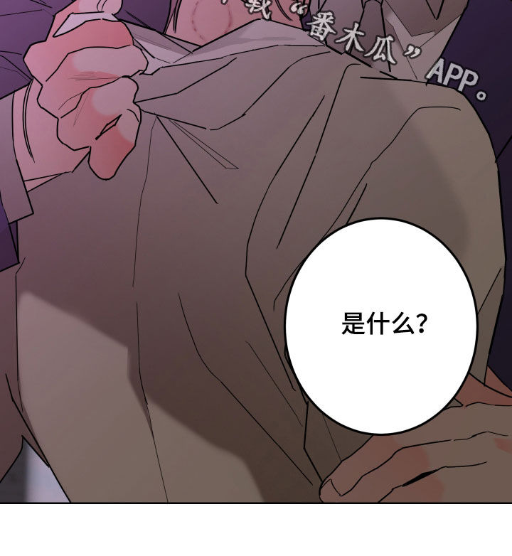 《贝塔的报恩》第89章【第二季】痕迹 第24页