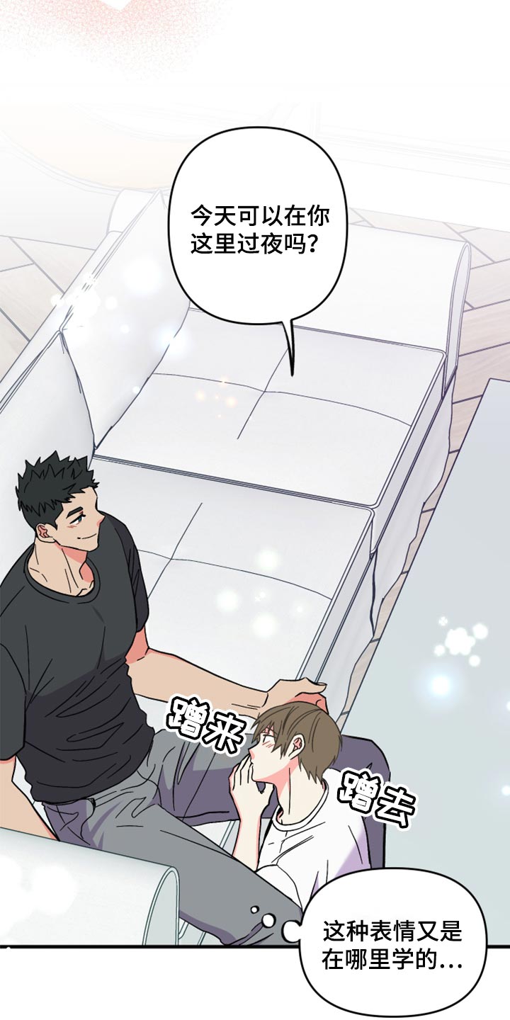 《男友回归》第55章【第二季】预算少 第11页