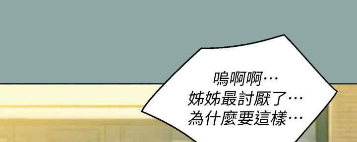 《我的干姐姐》第259话 第100页