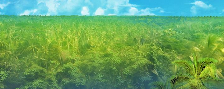《我的干姐姐》第243话 第92页