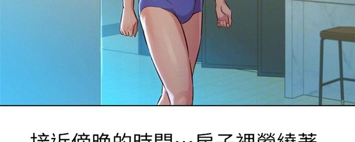 《我的干姐姐》第242话 第16页