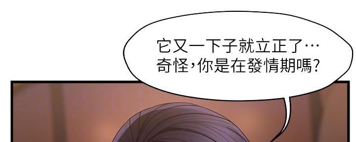 《霸道上司面试我》第19话 第79页