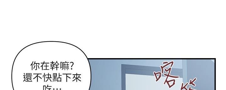 《行走费洛蒙》第41话 第11页