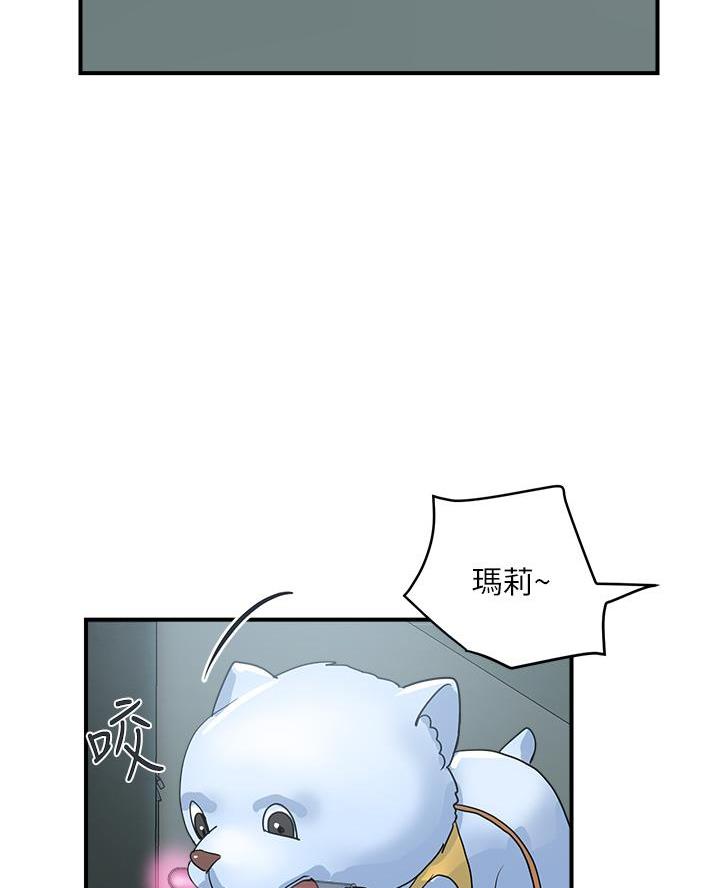 《行走费洛蒙》第75话 第47页