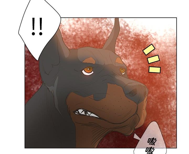 《变身面膜》第66话 第50页