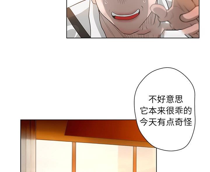 《变身面膜》第66话 第54页