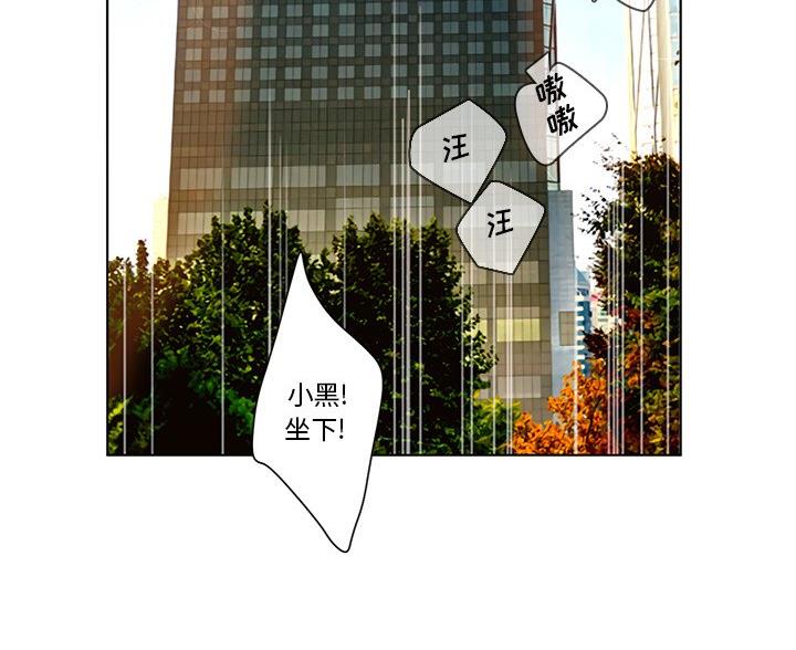 《变身面膜》第66话 第85页