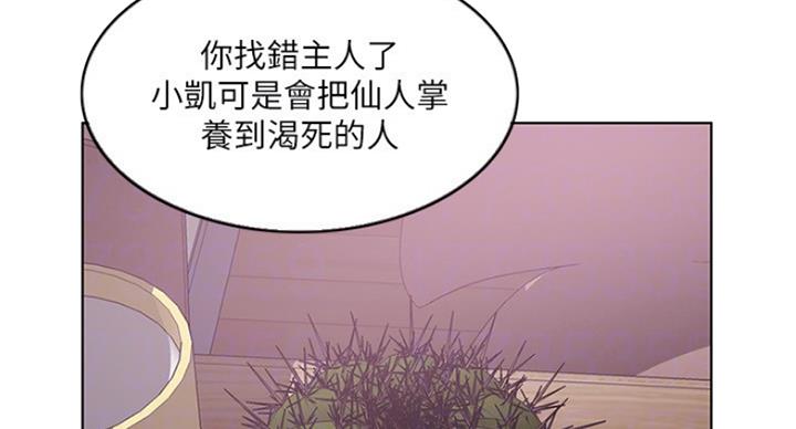 《游泳教练》第41话 第42页