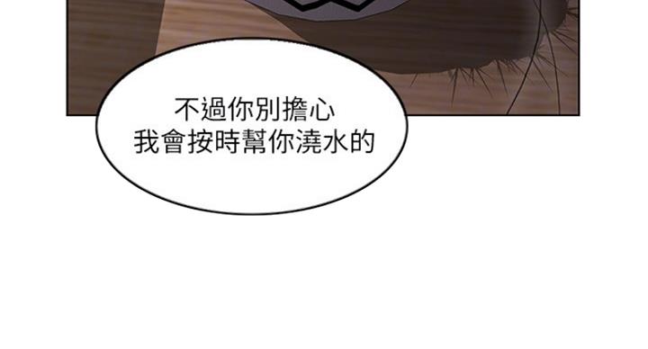 《游泳教练》第41话 第44页