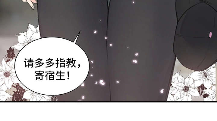 《美女房东》第2话 第3页