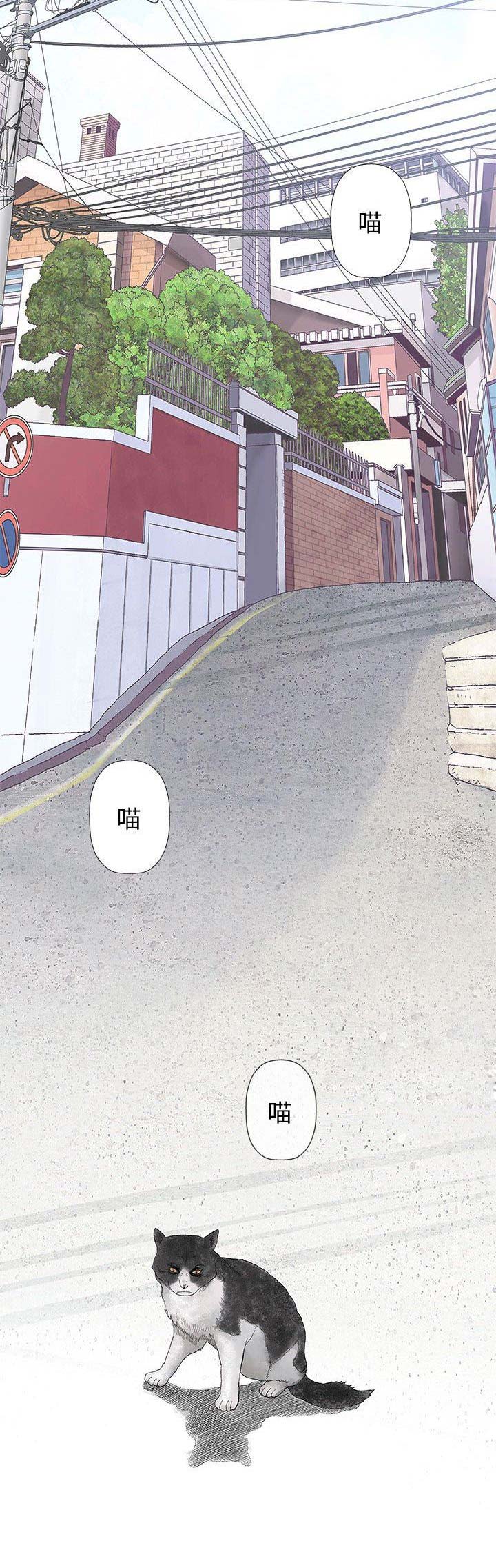 《奇趣新人》第57话 第4页