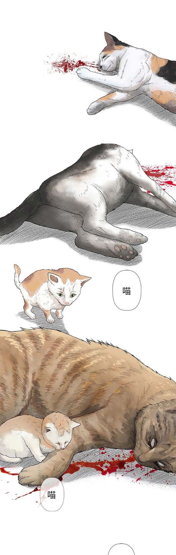 《奇趣新人》第57话 第5页