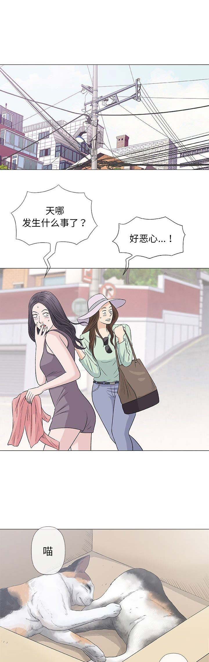 《奇趣新人》第59话 第5页
