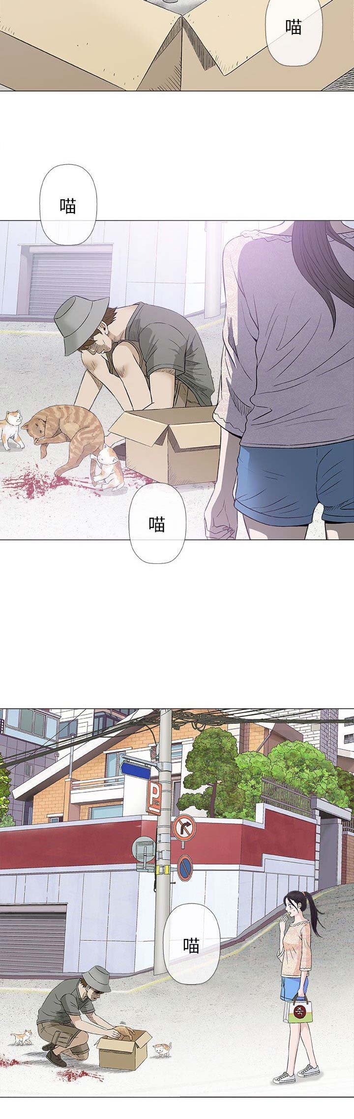 《奇趣新人》第59话 第6页