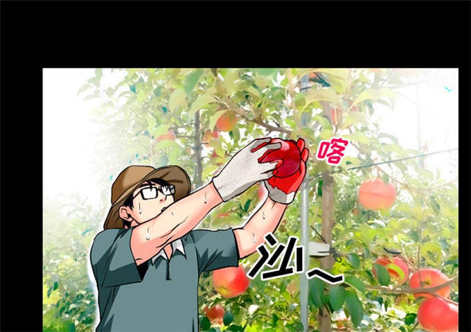 《金钱与爱情》第48话 第34页