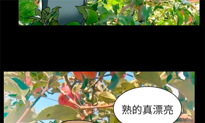 《金钱与爱情》第48话 第35页