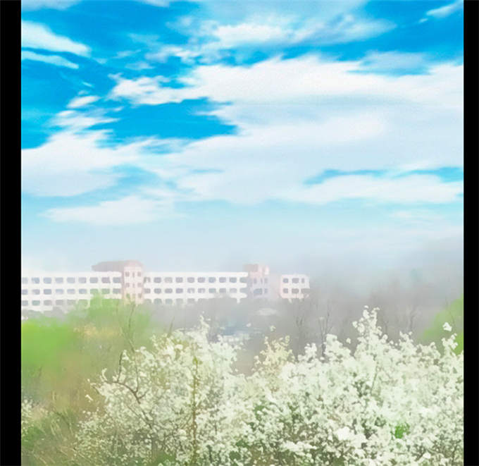 《金钱与爱情》第49话 第35页