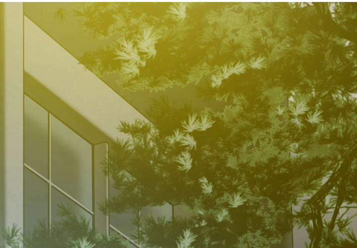 《樱花下的约定》第101话 第1页