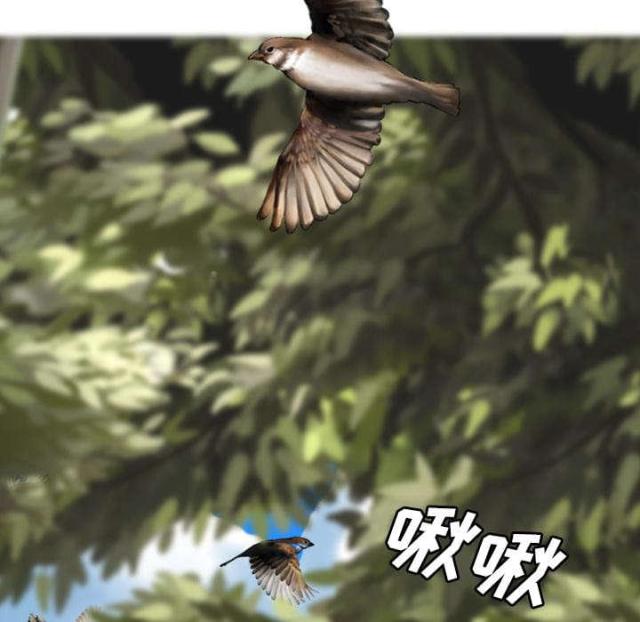 《樱花下的约定》第55话 第5页