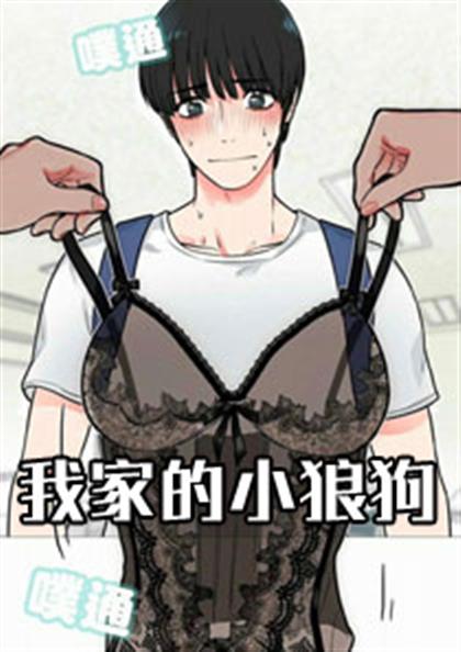 《我家的小狼狗》漫画封面图 - tl漫画