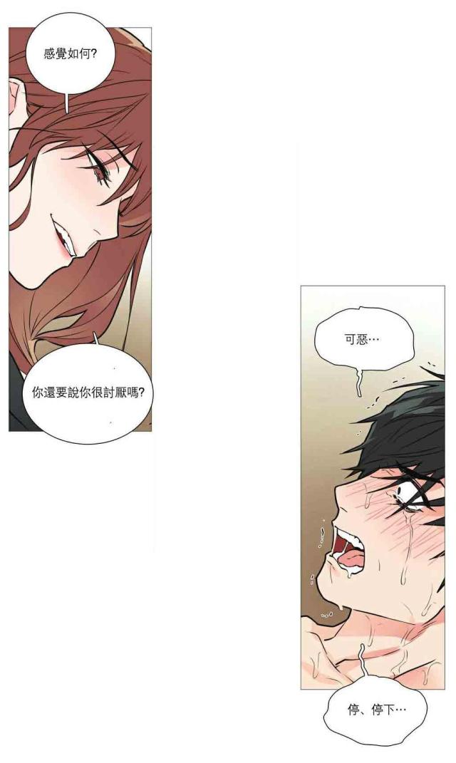 《我家的小狼狗》第27话 第12页