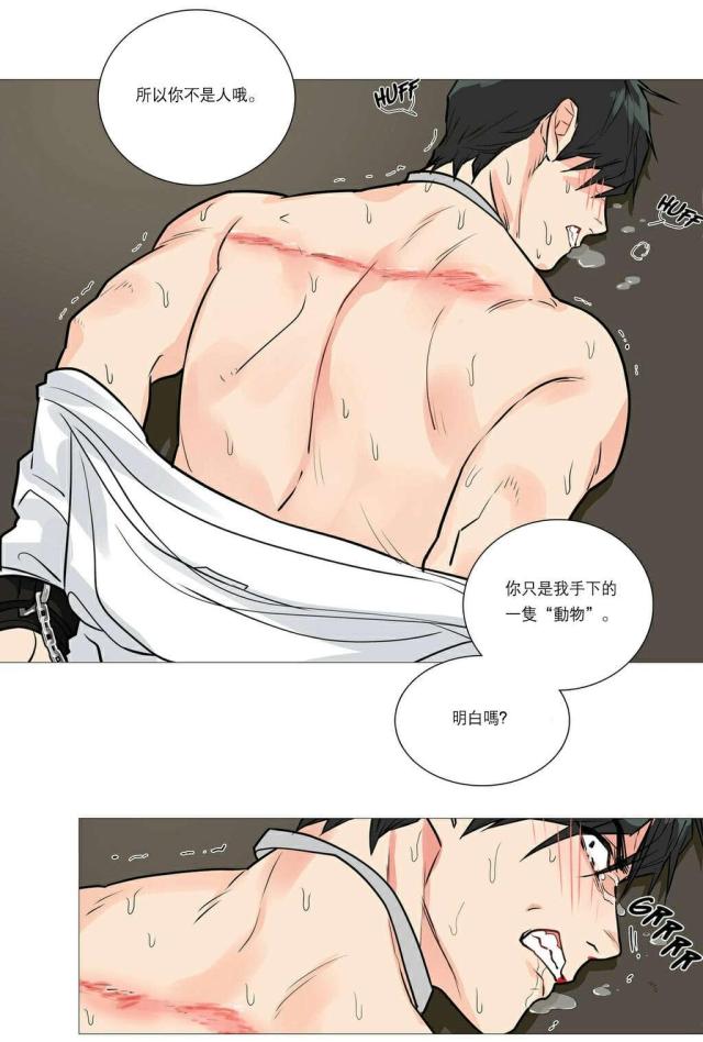 《我家的小狼狗》第25话 第13页