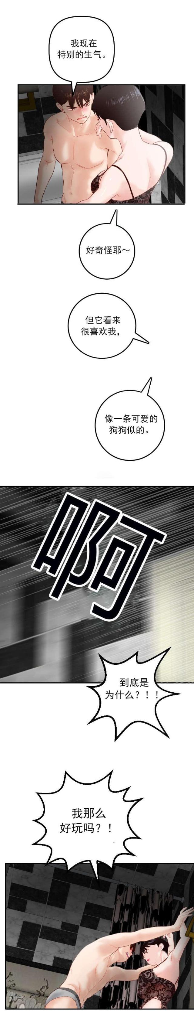 《黑房》第49话 第13页