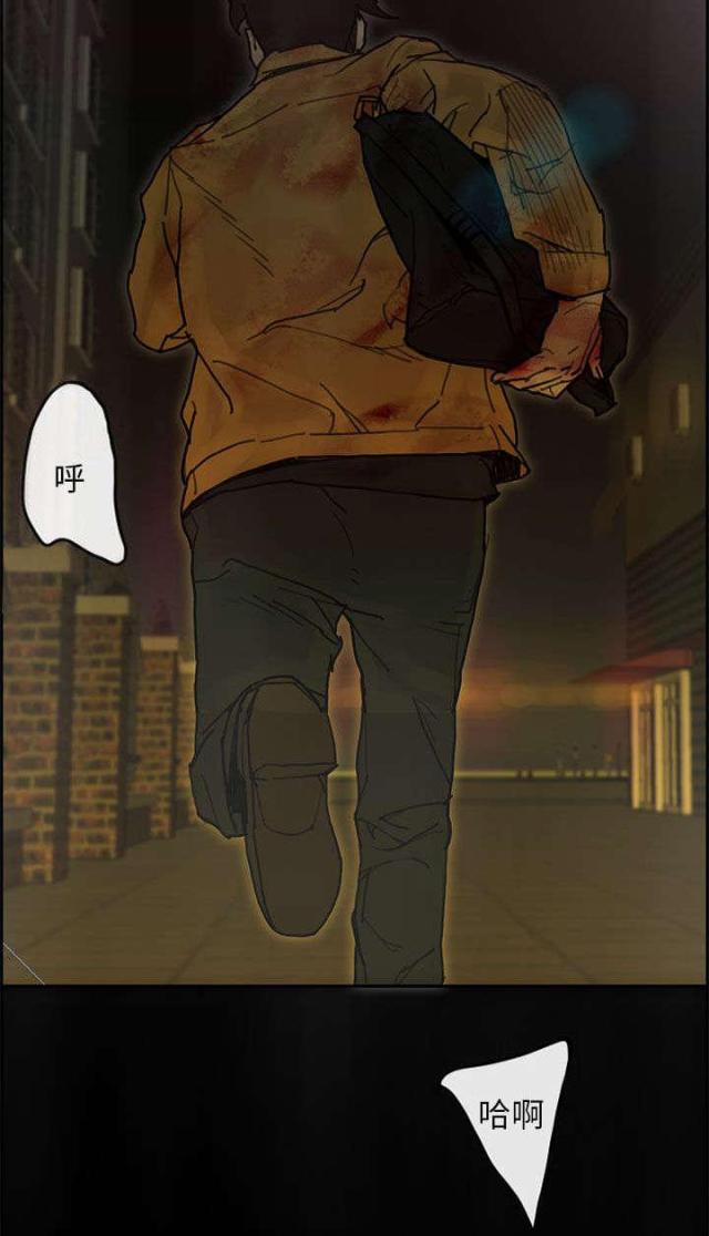 《梅蒂配送员》第77话 第5页