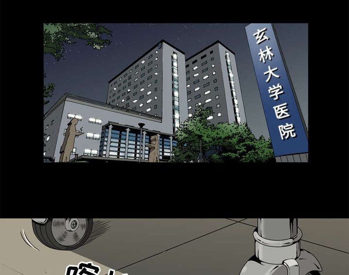 《猛龙回乡》第73话 第1页