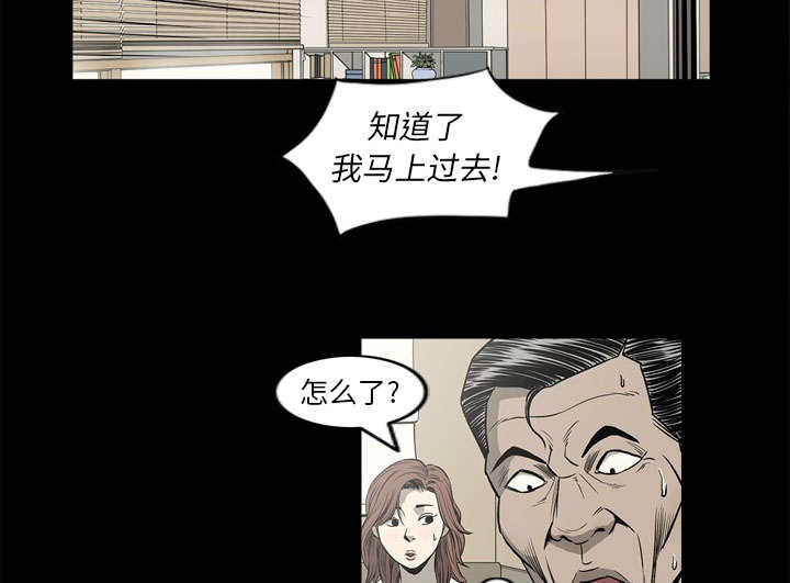 《猛龙回乡》第71话 第19页